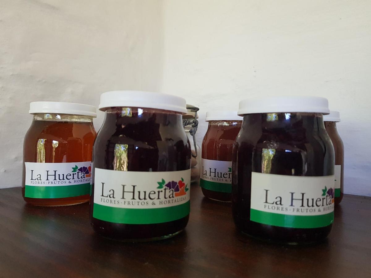 דירות קולוניה דל סקרמנטו La Monturera, Loft De Campo מראה חיצוני תמונה