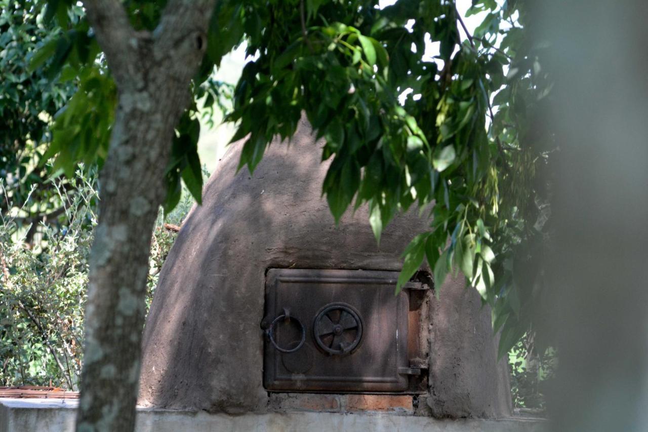 דירות קולוניה דל סקרמנטו La Monturera, Loft De Campo מראה חיצוני תמונה
