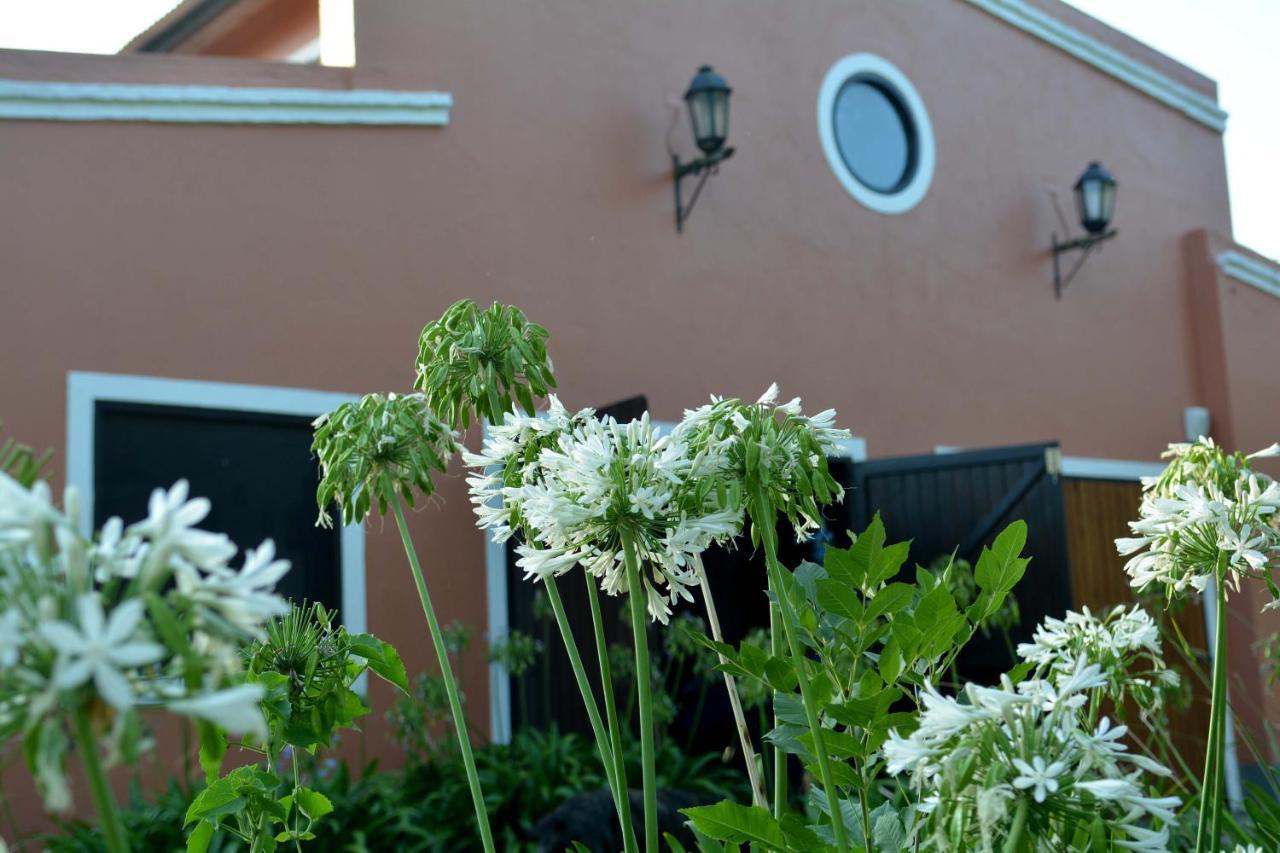 דירות קולוניה דל סקרמנטו La Monturera, Loft De Campo מראה חיצוני תמונה