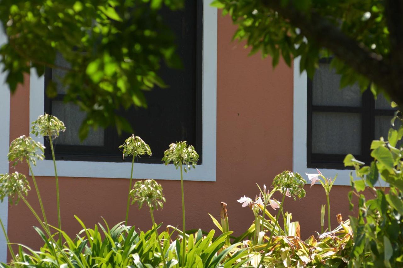 דירות קולוניה דל סקרמנטו La Monturera, Loft De Campo מראה חיצוני תמונה