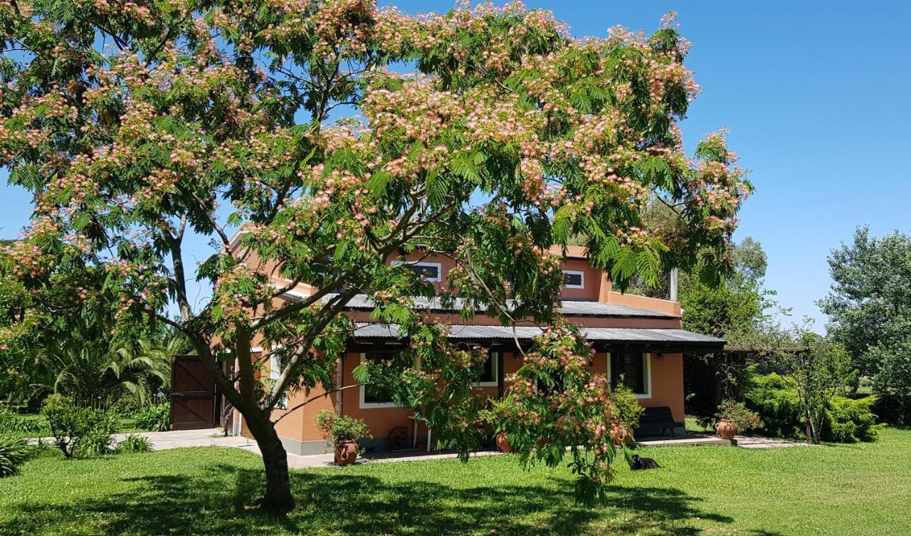 דירות קולוניה דל סקרמנטו La Monturera, Loft De Campo מראה חיצוני תמונה